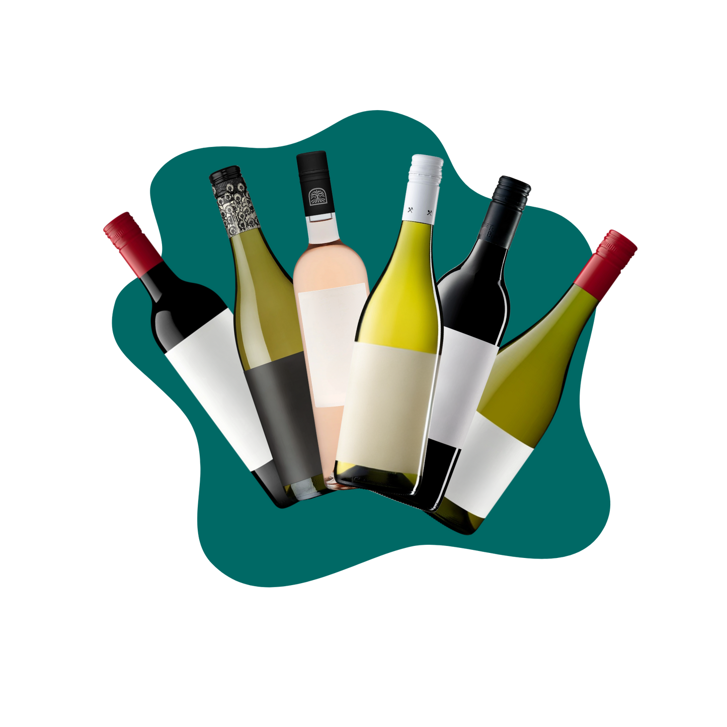 Box of 6: Mixed Wines