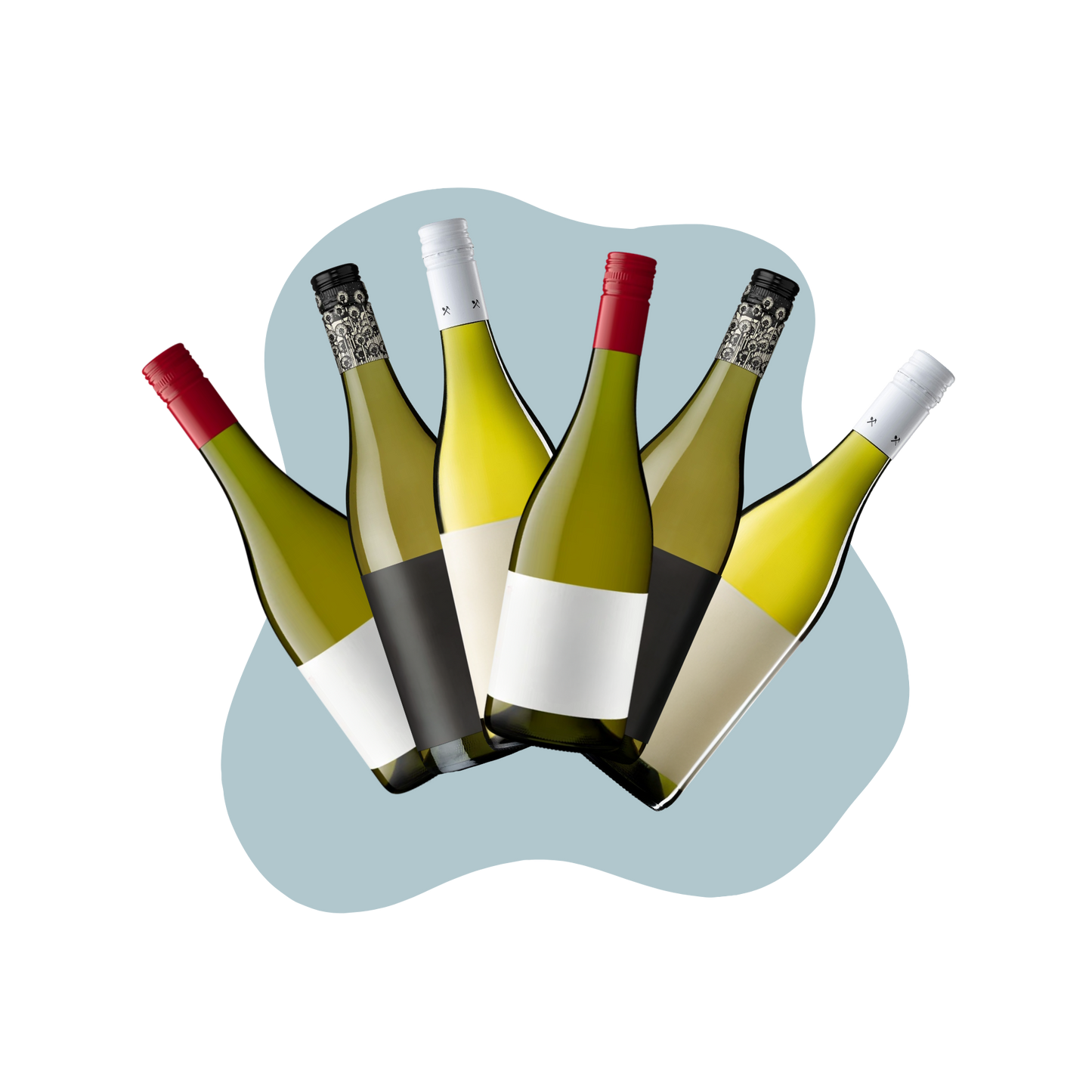 Box of 6: White Wines