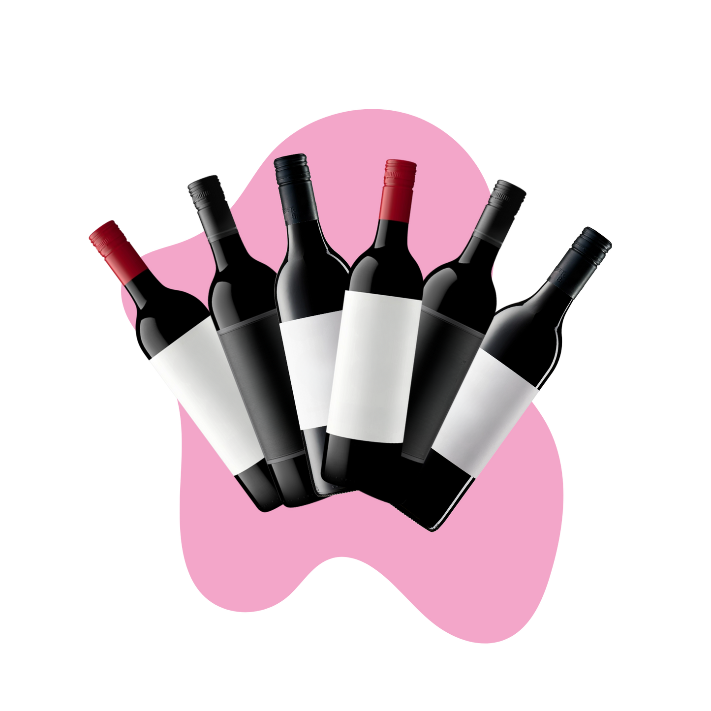 Box of 6: Red Wines